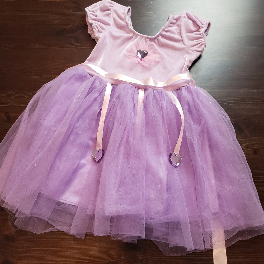 Princess Expressions purple girls role play costum